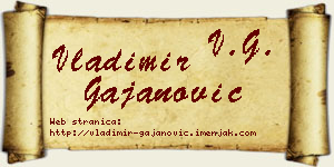 Vladimir Gajanović vizit kartica